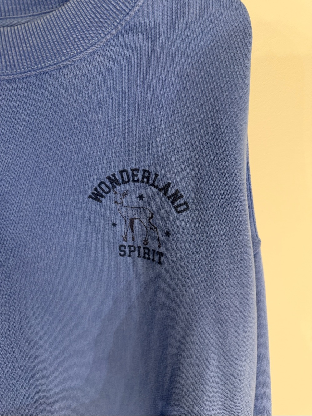 EUC - Aerie size M Wonderland Spirit Light Blue Crewneck Sweater - Picture 2 of 8